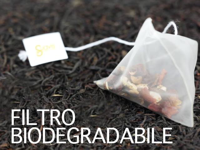 SUAVIS - TISANA ARMONIE IN EQUILIBRIO BIO 18TS FILTRO PIR / HERBAL TEA HARMONIES IN BALANCE