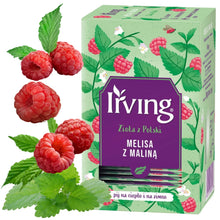 Load image into Gallery viewer, IRVING - TEA MATCHA &amp; RASPBERRY 20 BAG