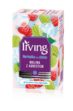 Load image into Gallery viewer, IRVING - COLD BREW TEA RASPBERRY &amp; GOOSEBERRY - 20 BAG