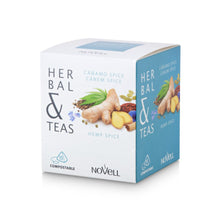 Load image into Gallery viewer, HERBAL AND TEAS - HEMP SPICE - Box 15 pyramids.