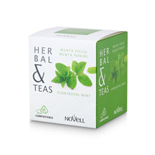 Load image into Gallery viewer, HERBAL AND TEAS - PENNY ROYAL MINT - Box 15 pyramids.