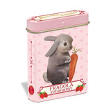 Lattina Teneri Cuccioli Wild Pastiglie Fragola 15g