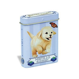 LEONE - Candies - Display Pets Pocket MIRTILLO